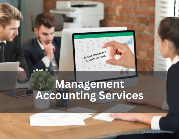 Management Accounting Services