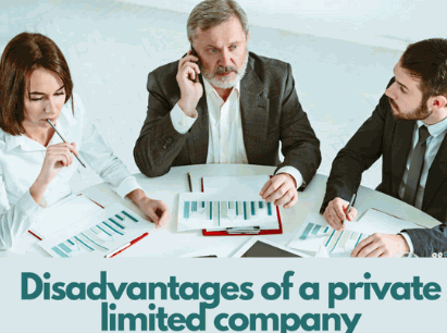 Private Limited Company Disadvantages